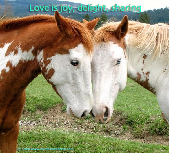 Love is Joy, Delight, Sharing
