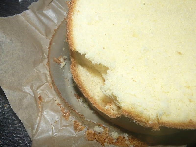http://i21.photobucket.com/albums/b270/Seja/Taarten/P1030577.jpg