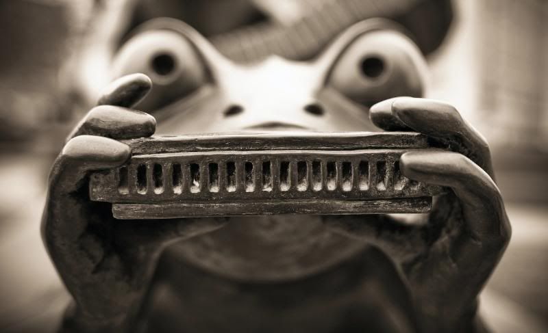 IMAGE: http://i21.photobucket.com/albums/b270/zillig04/_MG_0930.jpg