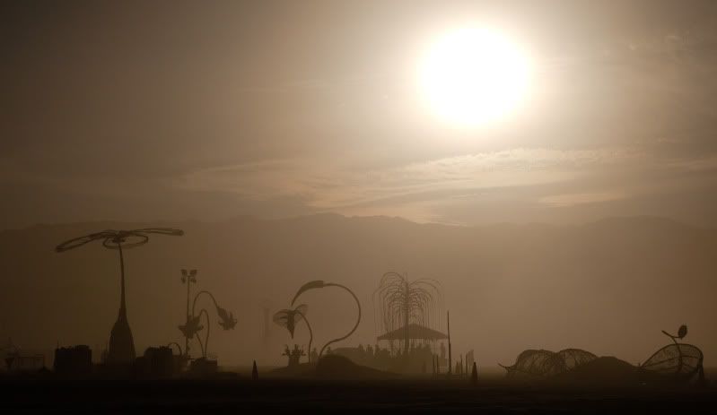 IMAGE: http://i21.photobucket.com/albums/b270/zillig04/_MG_3358.jpg