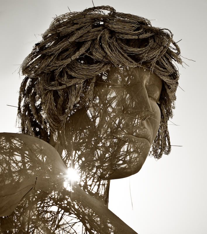 IMAGE: http://i21.photobucket.com/albums/b270/zillig04/_MG_3915.jpg