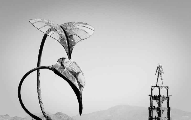 IMAGE: http://i21.photobucket.com/albums/b270/zillig04/_MG_3939.jpg