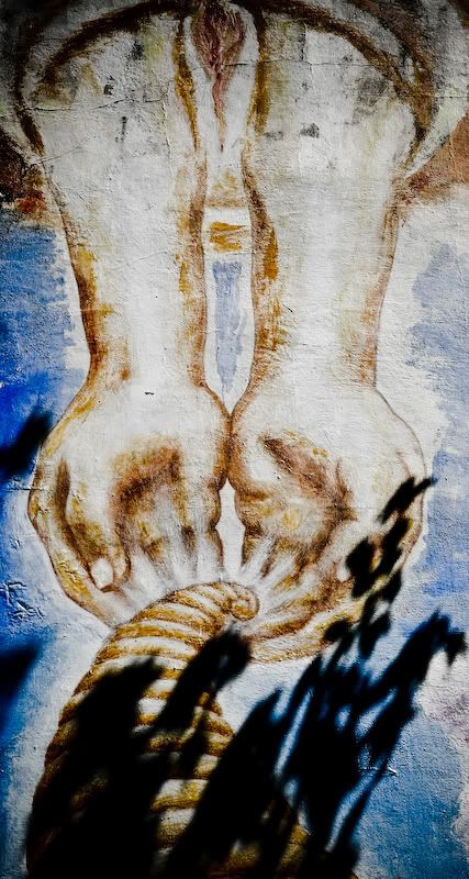 IMAGE: http://i21.photobucket.com/albums/b270/zillig04/_MG_7075.jpg