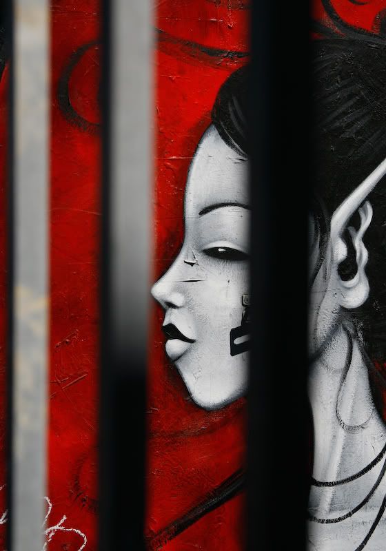 IMAGE: http://i21.photobucket.com/albums/b270/zillig04/_MG_7102.jpg