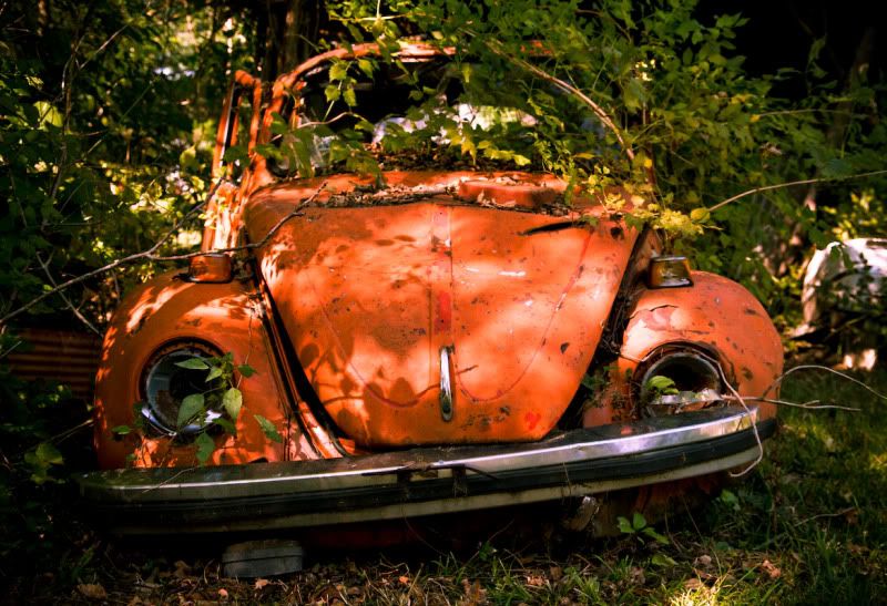 IMAGE: http://i21.photobucket.com/albums/b270/zillig04/_MG_8884.jpg