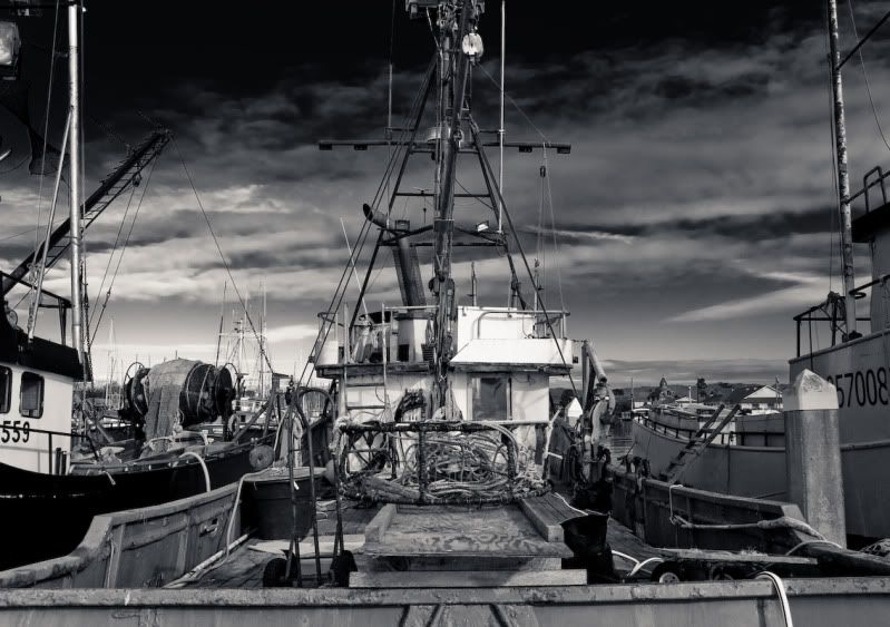 IMAGE: http://i21.photobucket.com/albums/b270/zillig04/_MG_9464-3.jpg