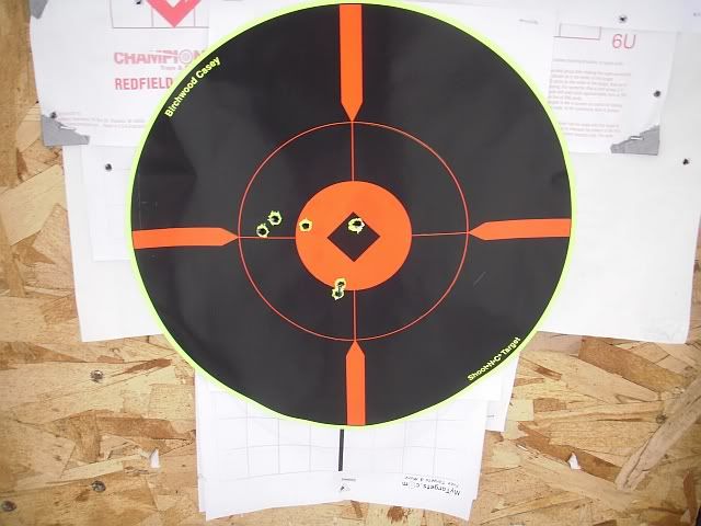 25WSSMsight-in25yd2.jpg