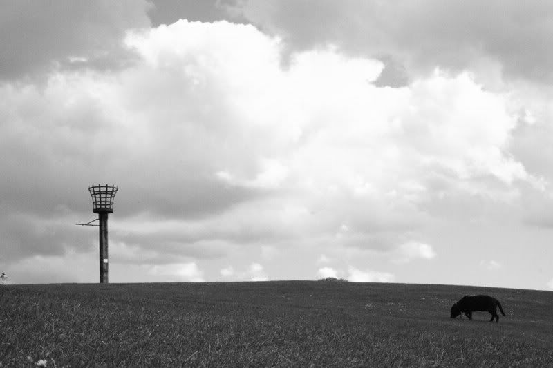 IMAGE: http://i21.photobucket.com/albums/b274/brenz89/Second%20album/aIMG_a9672.jpg