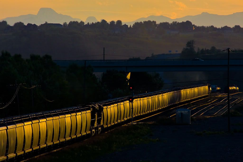 IMAGE: http://i21.photobucket.com/albums/b274/trainboysd40/671glint.jpg