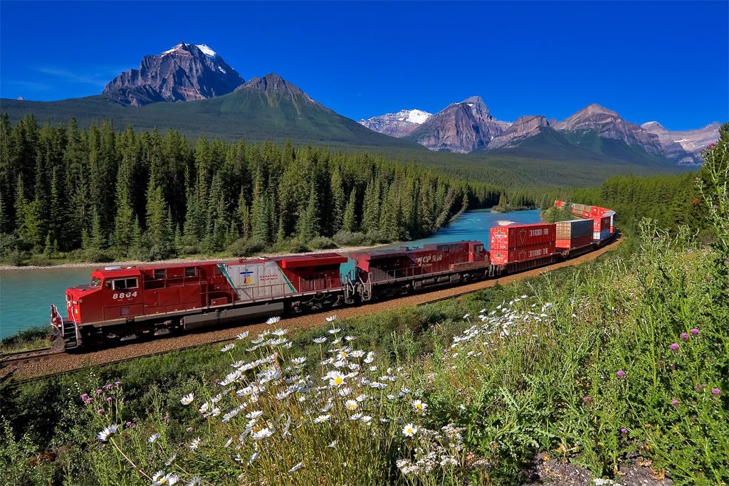 IMAGE: http://i21.photobucket.com/albums/b274/trainboysd40/8864MC.jpg