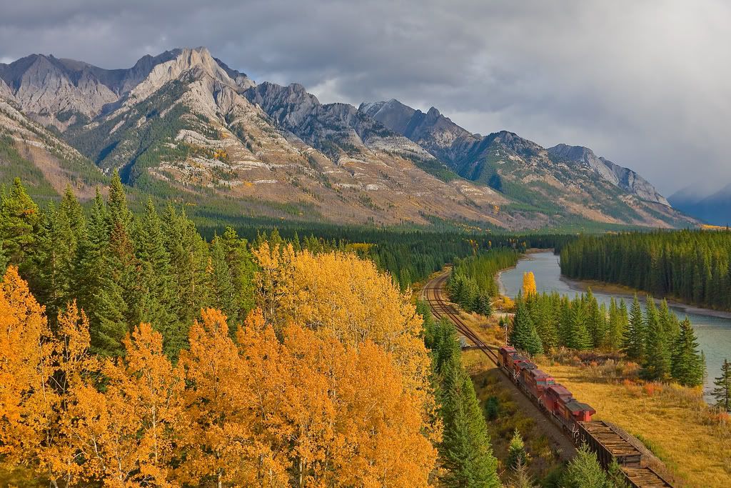 IMAGE: http://i21.photobucket.com/albums/b274/trainboysd40/9546Massivegoingaway.jpg