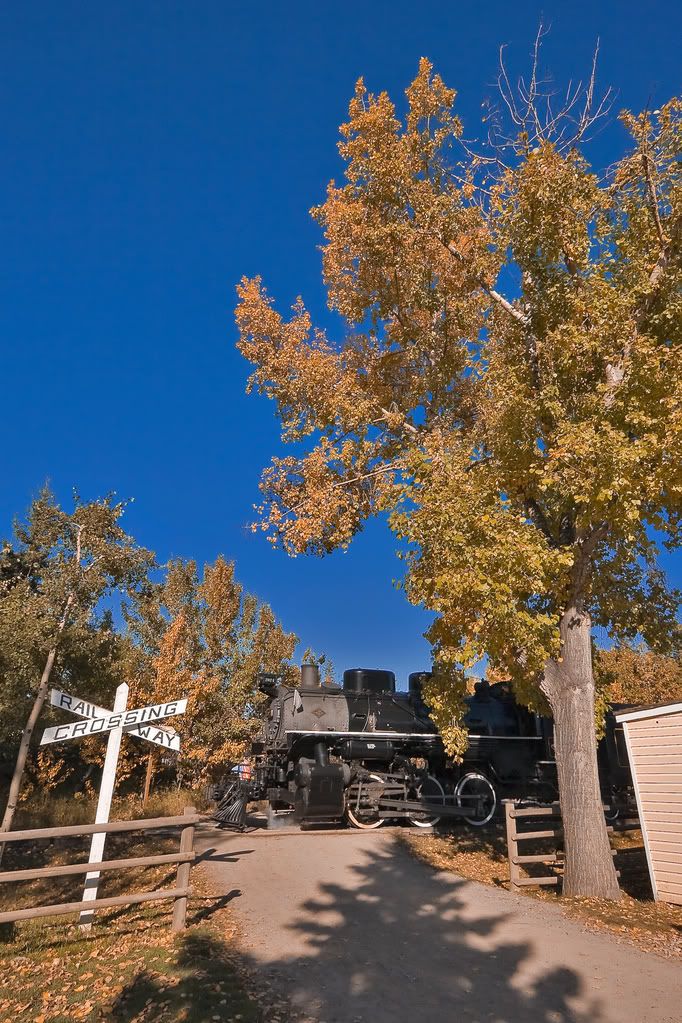 IMAGE: http://i21.photobucket.com/albums/b274/trainboysd40/Heritage%20Park/2024crossing.jpg