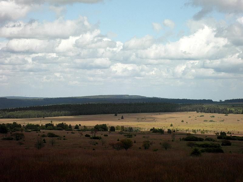  photo 2016-08_Hautes_Fagnes_01.jpg