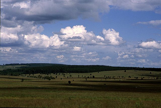 photo ssfast 10.jpg