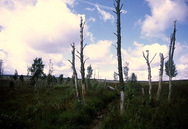 photo ssfast 11.jpg