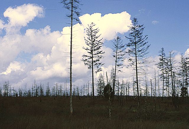 photo ssfast 14.jpg