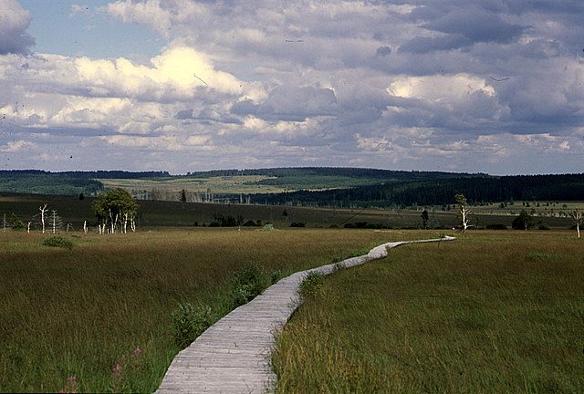 photo ssfast 32.jpg