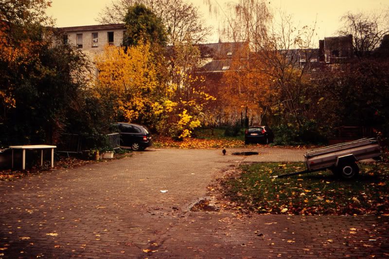 http://i21.photobucket.com/albums/b275/Paolo_Cocoa/Namur/th_SG104977.jpg