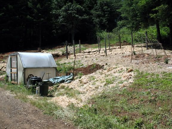 Homestead Pictures Thread.. - Homesteading Questions