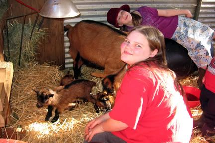 She had them!!!!!!!!!!!! - Goats