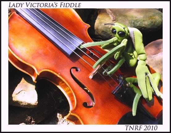 Mantis on the move Victoria's Fiddle
