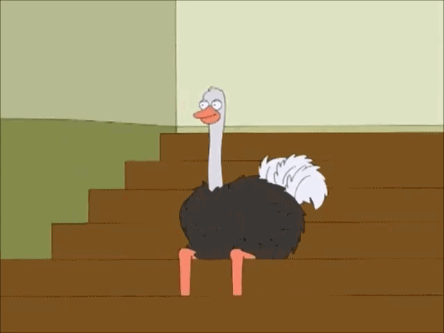 ostrich_zps55a4e004.gif