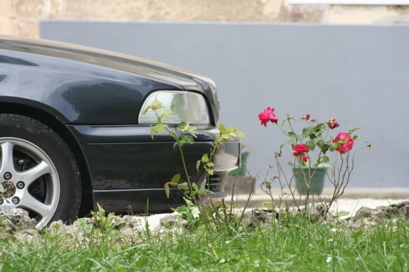 [Afbeelding: rs7.jpg]