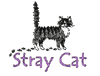 The Stray Cat Avatar