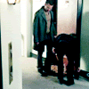 Danny/Lindsay Icons