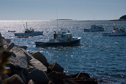 Spruce_head_boats.jpg picture by cynthialord2005