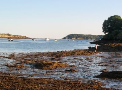 harpswell_1.jpg