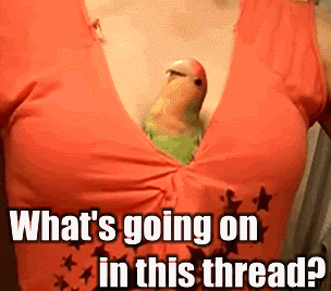 12812866855021.gif