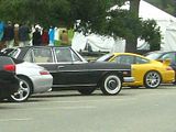 http://i21.photobucket.com/albums/b279/qwerty86/monterey-exotics/th_IMG_1734.jpg