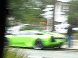 http://i21.photobucket.com/albums/b279/qwerty86/monterey-exotics/th_IMG_1748.jpg