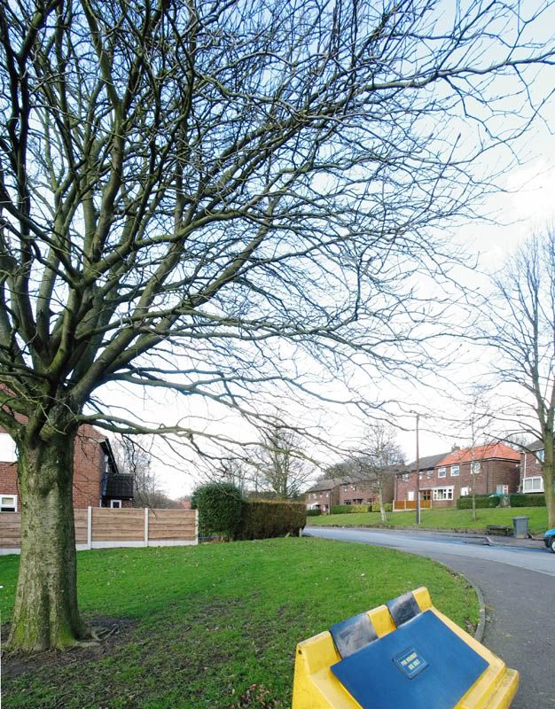 IMAGE: http://i21.photobucket.com/albums/b279/terrywoodenpic/6shottesta.jpg