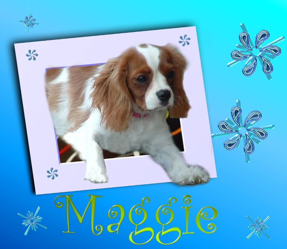 Maggie-1.jpg