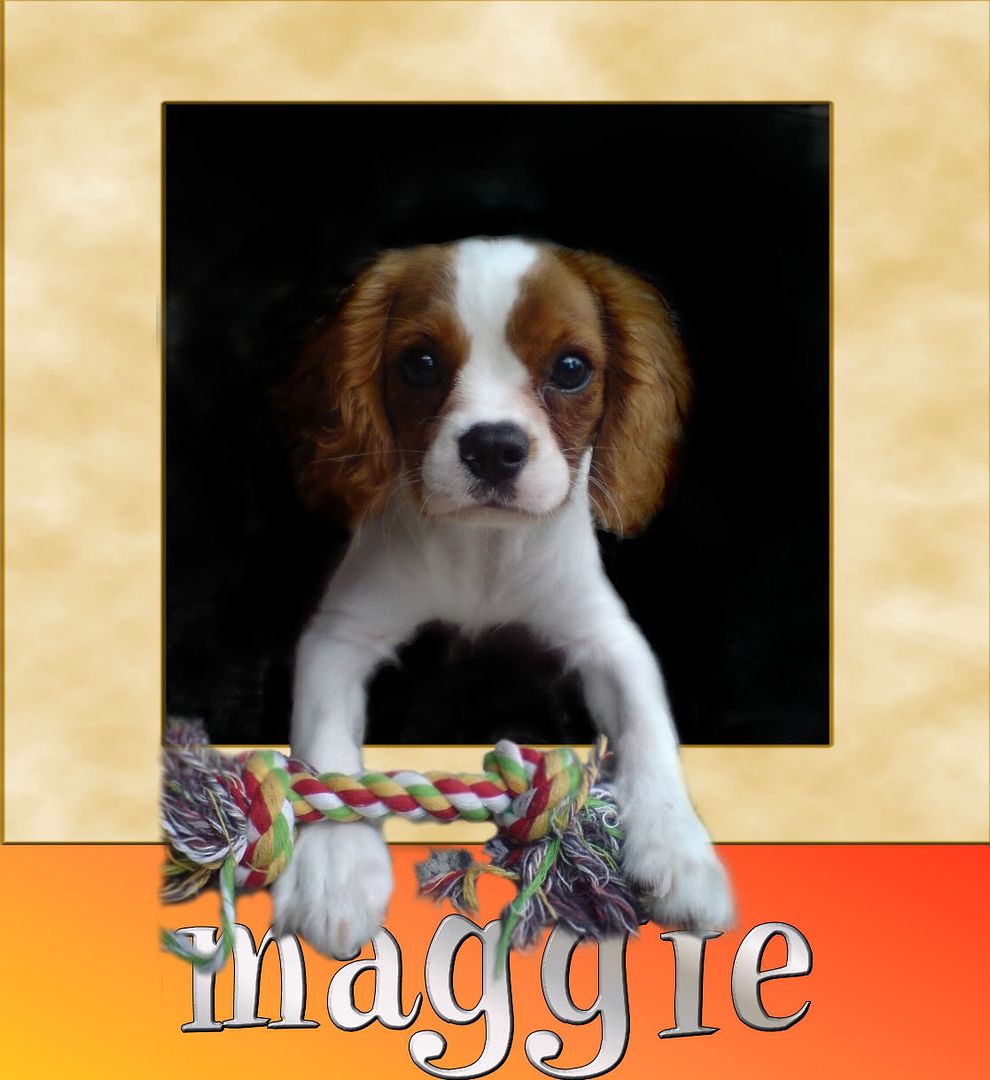 Maggie-2.jpg