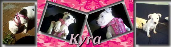 kyra2.jpg