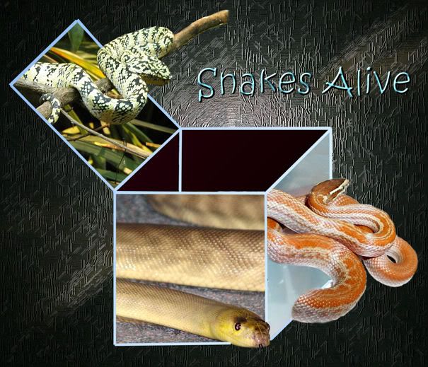 snakesalive.jpg