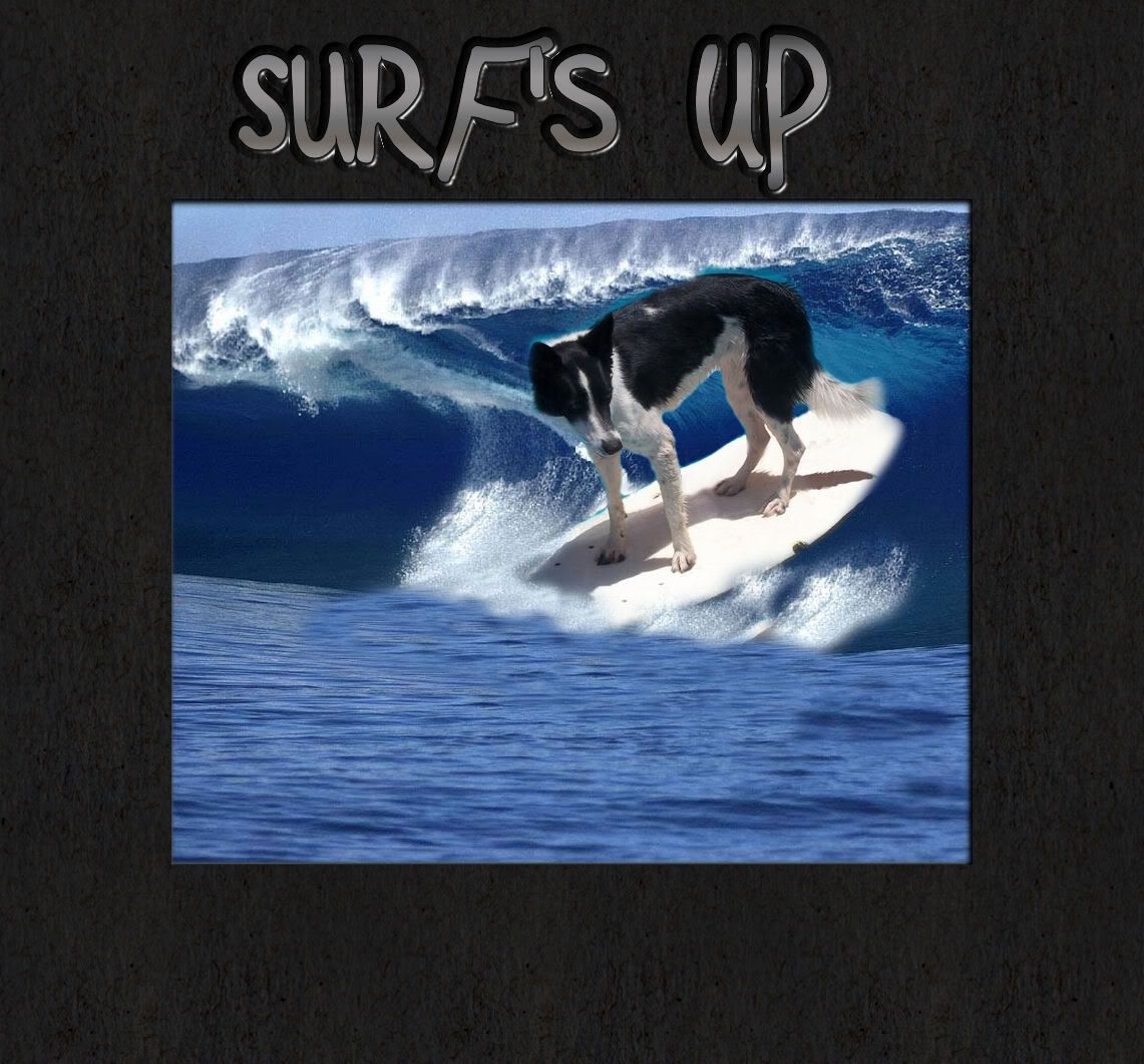 surf.jpg