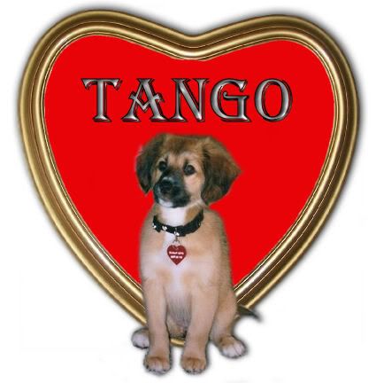 tangolove.jpg