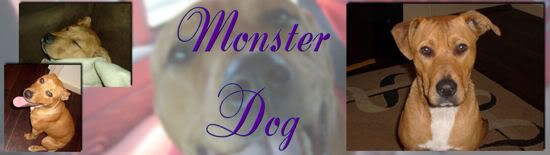 Monsterdog.jpg