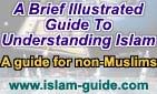 Understand Islam and Muslims!