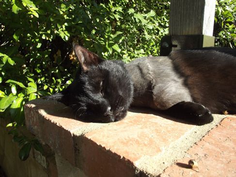 Fang Loving the Outdoors