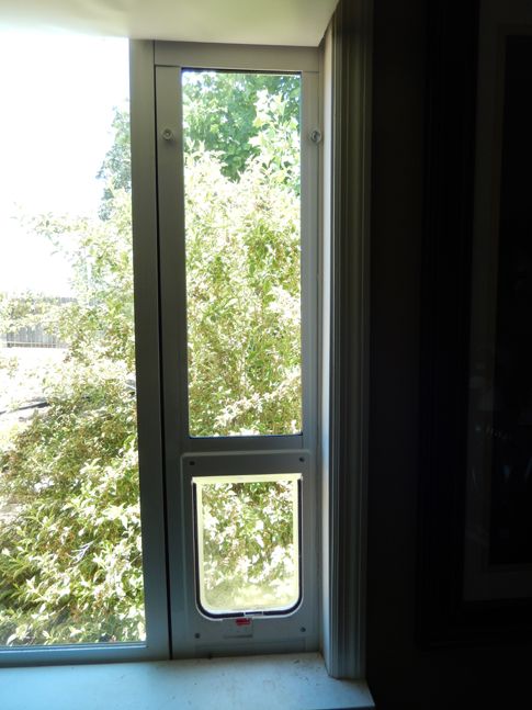 A window fitting cat-door