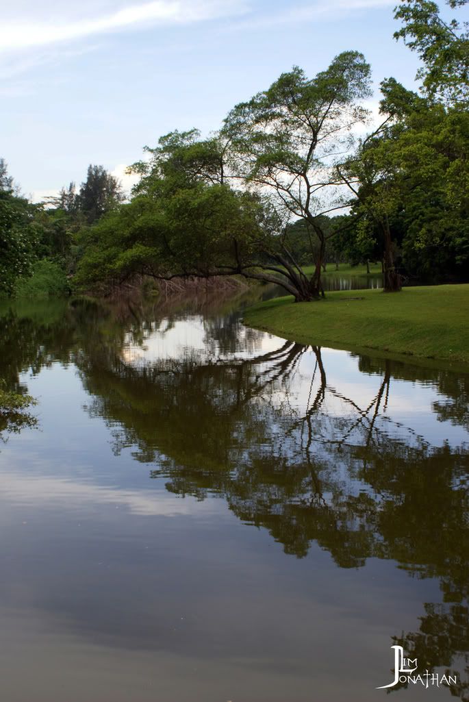 Chinese & Japanese Gardens