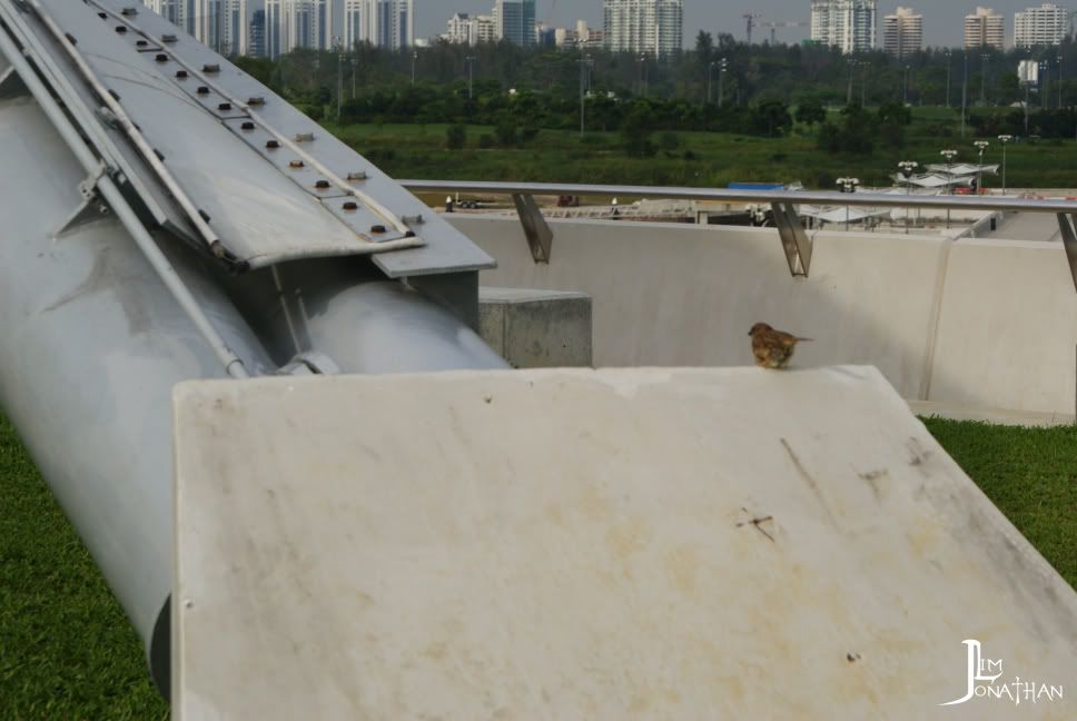 Marina Barrage