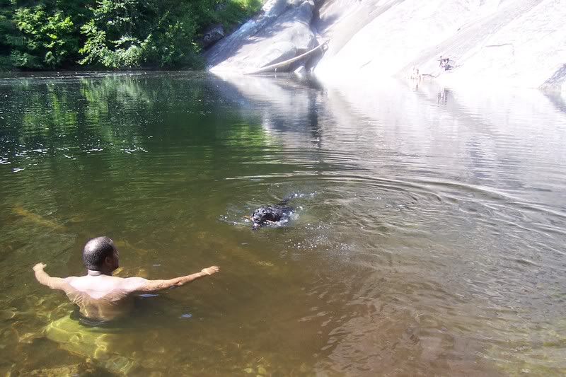 swimming with dad