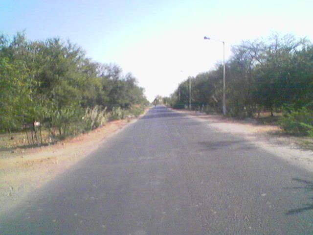 College road- towards Shreyashram