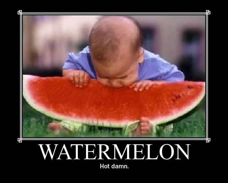 watermelon funny pics